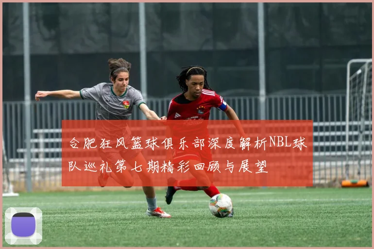 合肥狂风篮球俱乐部深度解析NBL球队巡礼第七期精彩回顾与展望