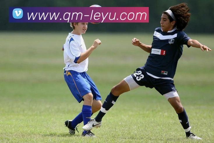 App Interface Preview