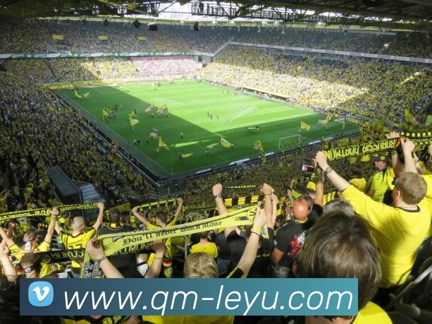 乐鱼体育APP 封面图