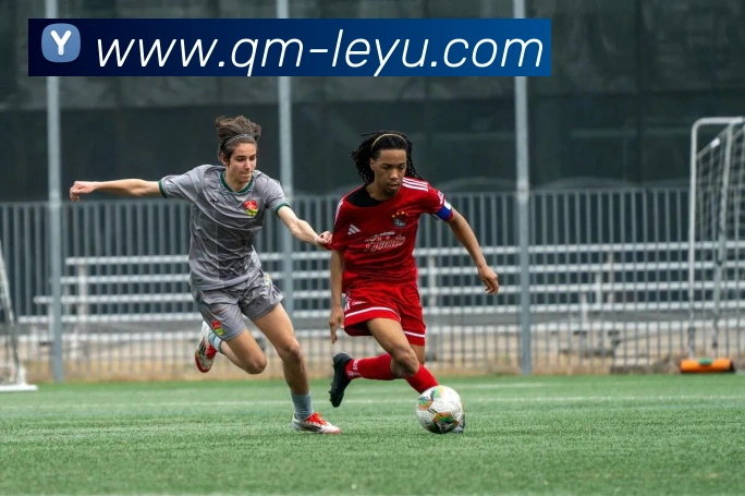 数据防护可视化